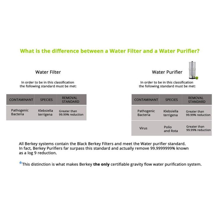 Black Berkey Water Filter Cartridge (Set of 2)