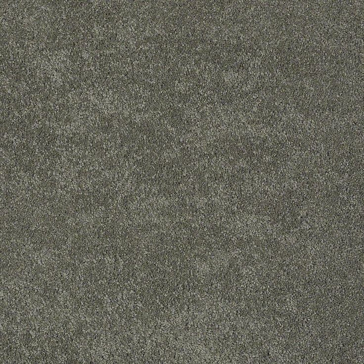 STAINMASTER PetProtect Baxter I Winston Textured Carpet (Indoor)