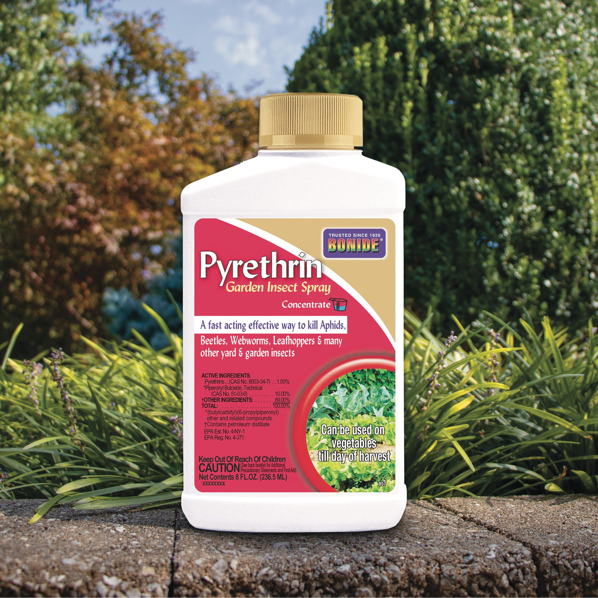 Bonide Pyrethrin Garden Insect Spray Concentrate, 16 oz