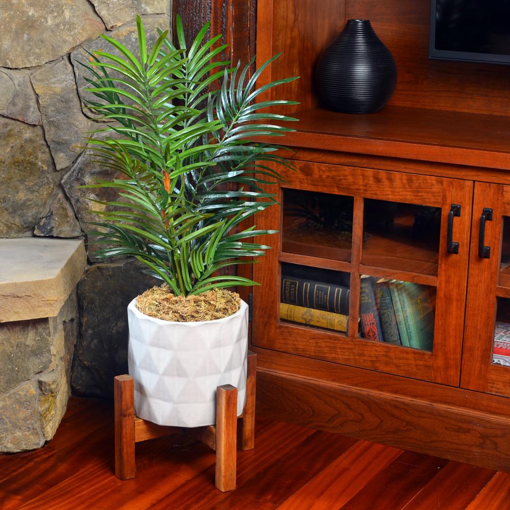 Mosser Lee 432 cu. in. Sphagnum Moss - Super Arbor