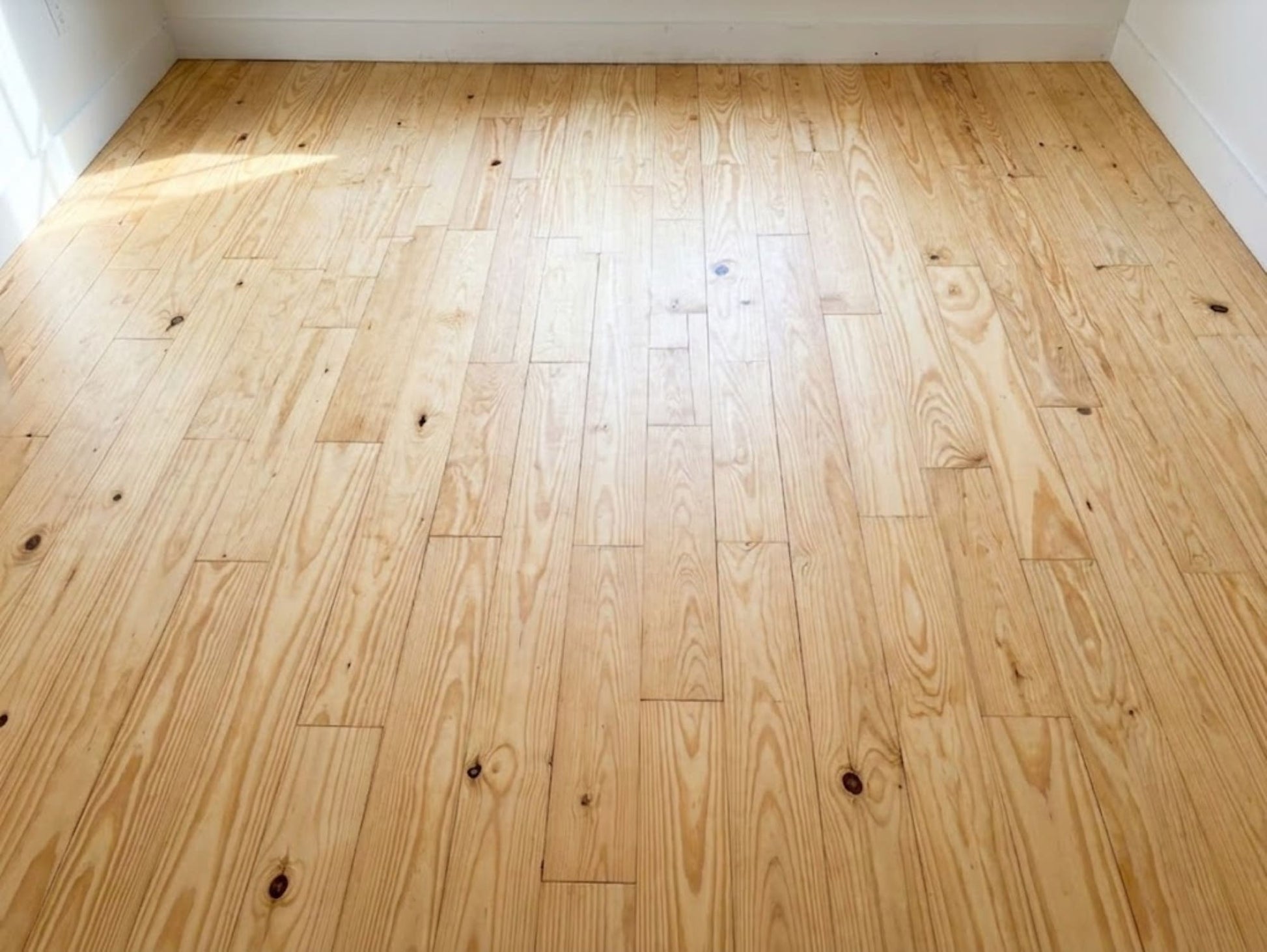 Beasley Pine Natural hardwood flooring — installed room view
