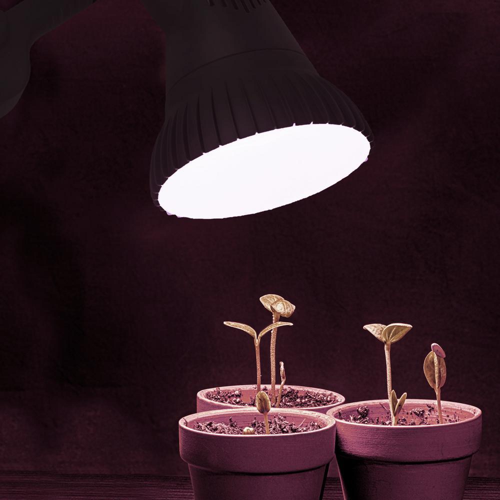 13-Watts LED Clamp Grow Light Bulb - Super Arbor