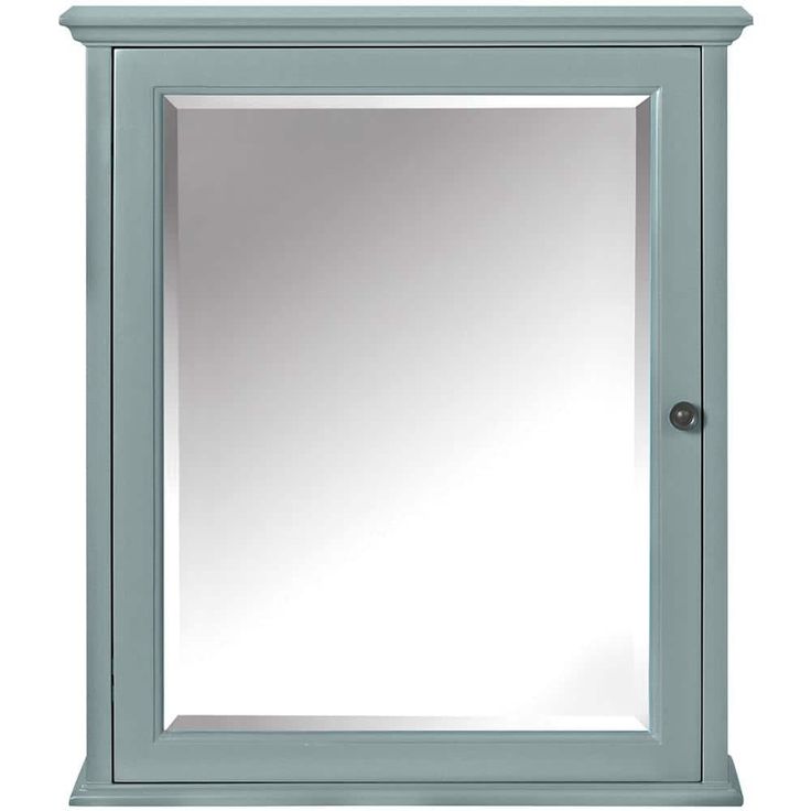 Home Decorators Collection Hamilton 24 in. W x 27 in. H Rectangular Medicine Cabinet with Mirror