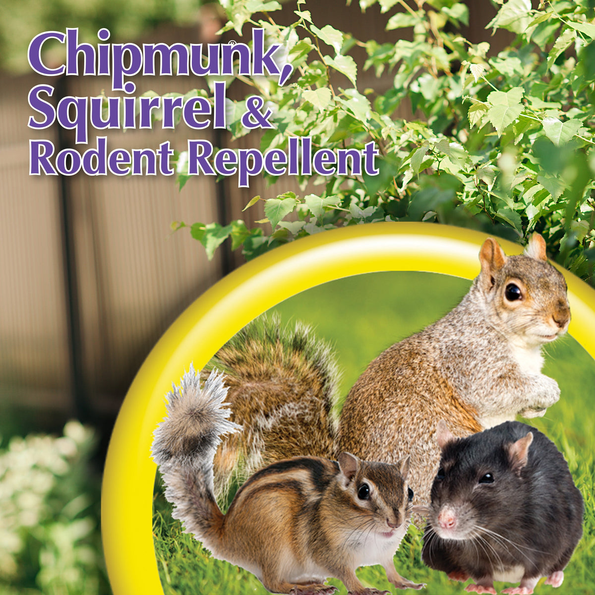 Bonide Animal Repellent Liquid for Chipmunks & Squirrels, Ready-to-Spray, 32 oz