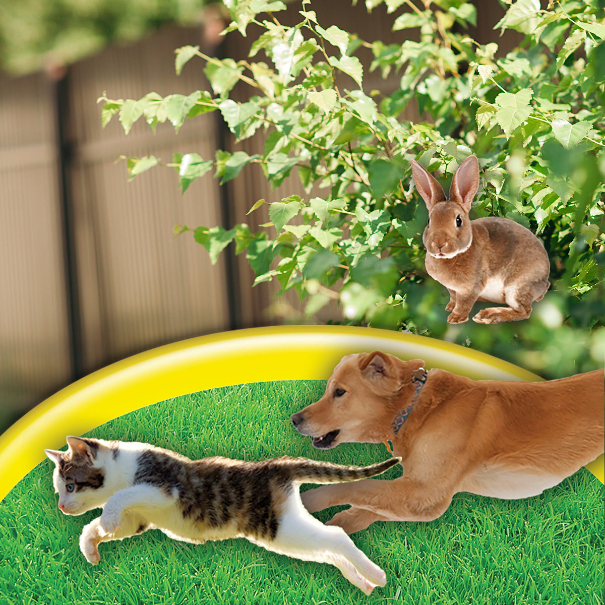 Bonide Go Away! Rabbit, Dog & Cat Repellent Granules – 1 lb Shaker