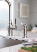 Moen Noell Single-Handle Standard Kitchen Faucet with Side Sprayer in Spot Resist Stainless