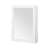 Home Decorators Collection Sturgess 24 in. W x 32 in. H Rectangular Medicine Cabinet with Mirror