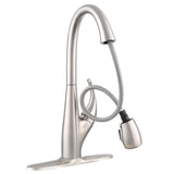 DeLuca Single-Handle Pull-Down Sprayer Kitchen Faucet with ShieldSpray Technology and Soap Dispenser in Stainless - Super Arbor