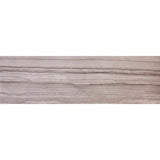 Emser Chronicle Script Porcelain Bullnose Tile (3-in x 24-in)