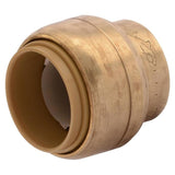SharkBite 3/4-in Push-to-Connect dia Cap Push Fitting