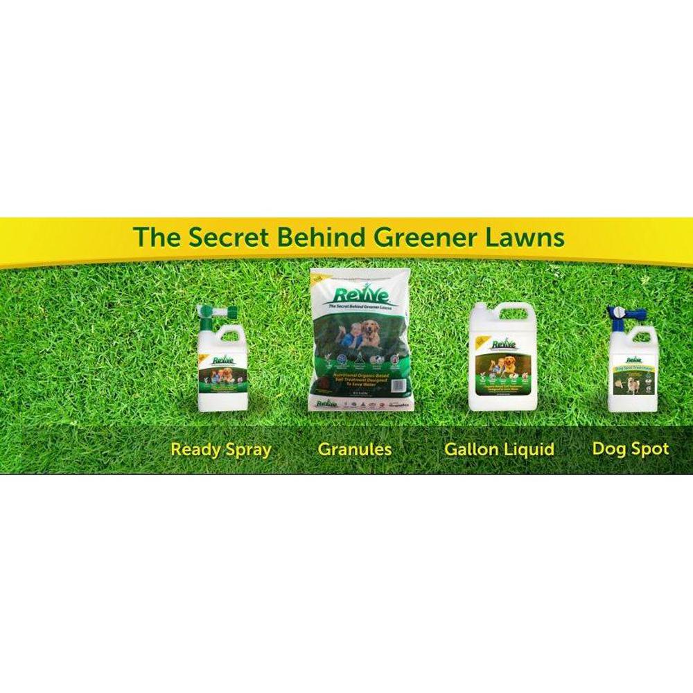Revive 64 oz. Dog Spot Treatment