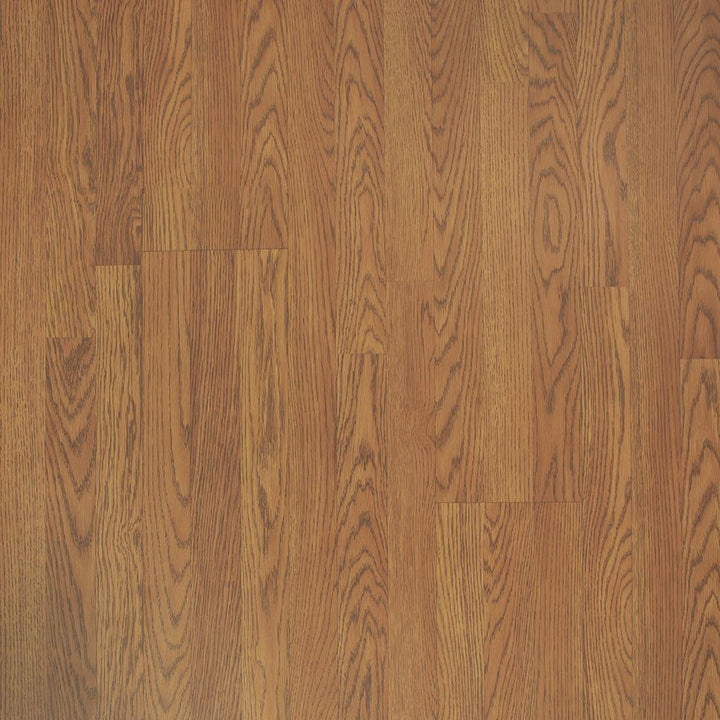 Pergo XP Classic Auburn Oak 8 mm T x 7.48 in. W x 47.24 in. L Laminate Flooring (19.63 sq. ft. / case)