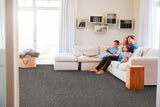 STAINMASTER Essentials Blue Diamonds I 15-ft Iron Textured Carpet (Indoor)