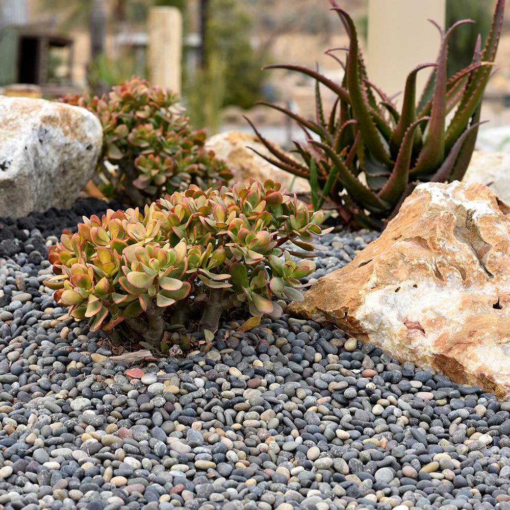Southwest Boulder & Stone 1.0 cu. ft. 1 in. to 2 in. Mixed Mexican Beach Pebble Smooth Round Rock for Gardens, Landscapes and Ponds - Super Arbor