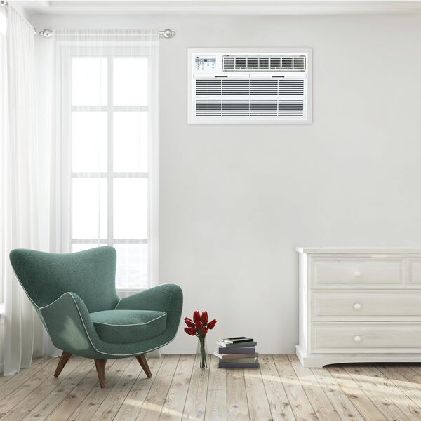 10,000 BTU Thru-the-Wall Air Conditioner, 230V (R32) image 2