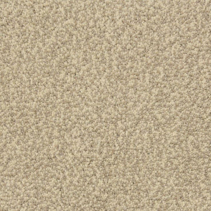 STAINMASTER PetProtect Entranced Cobblestone Textured Carpet Sample (Interior)