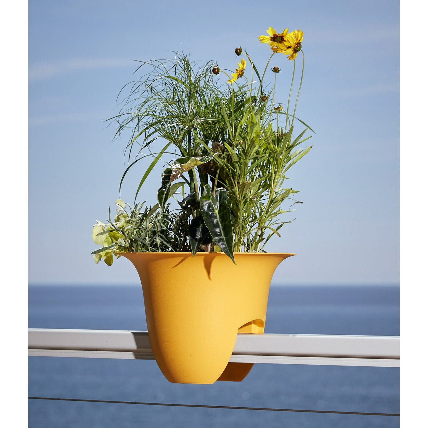 Bloem Freesia Planter w/ Saucer 8" Classic Blue