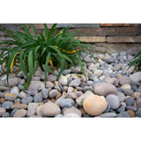 Amazon Multi 0.5 cu. ft . 0.25 to 1.25 in. Pebbles. 40 lb. Bag (55 Bags / Pallet) - Super Arbor