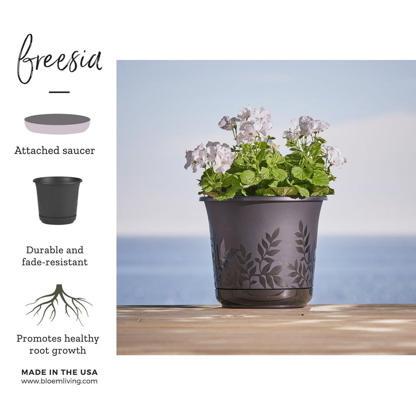 Bloem Freesia Planter w/Saucer 12" Black