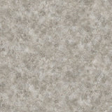 Congoleum ArmorCore Pro Ethereal 12-ft W Cut-to-Length Stormy Gray Stone Look Low-Gloss Finish Sheet Vinyl