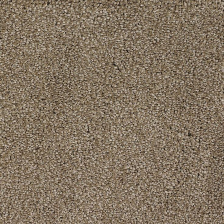 STAINMASTER Signature Shafer Valley Donner Textured Carpet (Indoor)