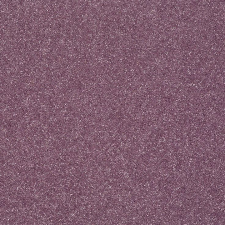 STAINMASTER Essentials Intuition II 12-ft Lavender Textured Carpet Sample (Interior)