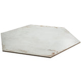 Angela Harris Flatiron White 20" Hexagon Matte Porcelain Tile