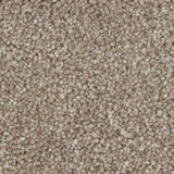 STAINMASTER Beatitude Elsewhere Textured Carpet Sample (Interior)