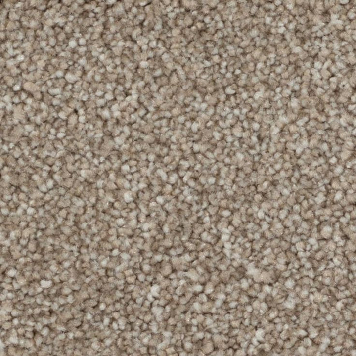 STAINMASTER Beatitude Elsewhere Textured Carpet Sample (Interior)