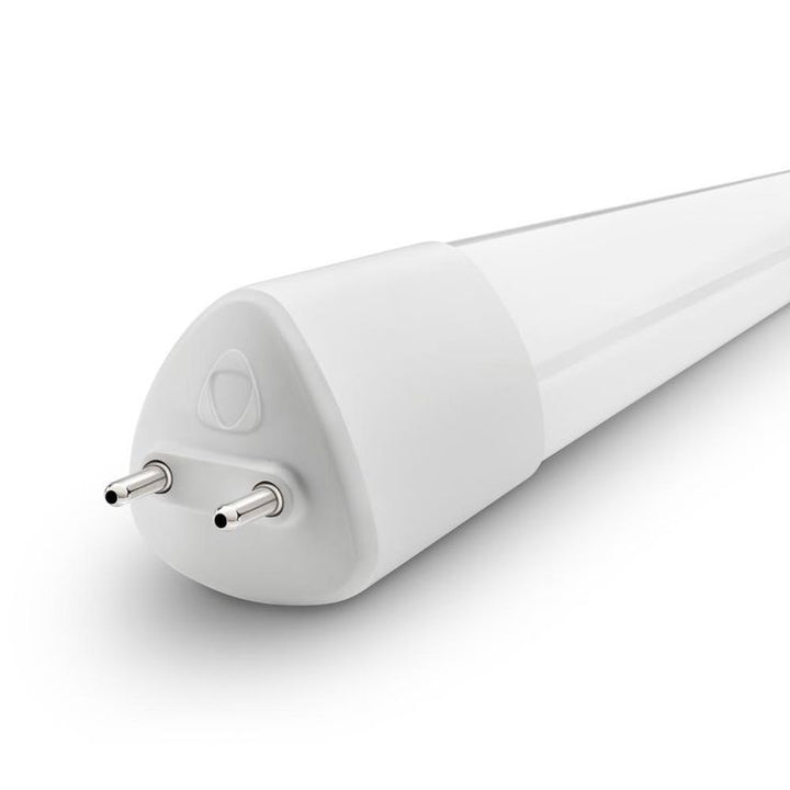 toggled 36 in. 12-Watt 6500k Bright Daylight T8 or T12 Linear LED Light Bulb