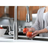 Peerless Choice Chrome 1-Handle Deck-Mount Low-Arc Handle Kitchen Faucet
