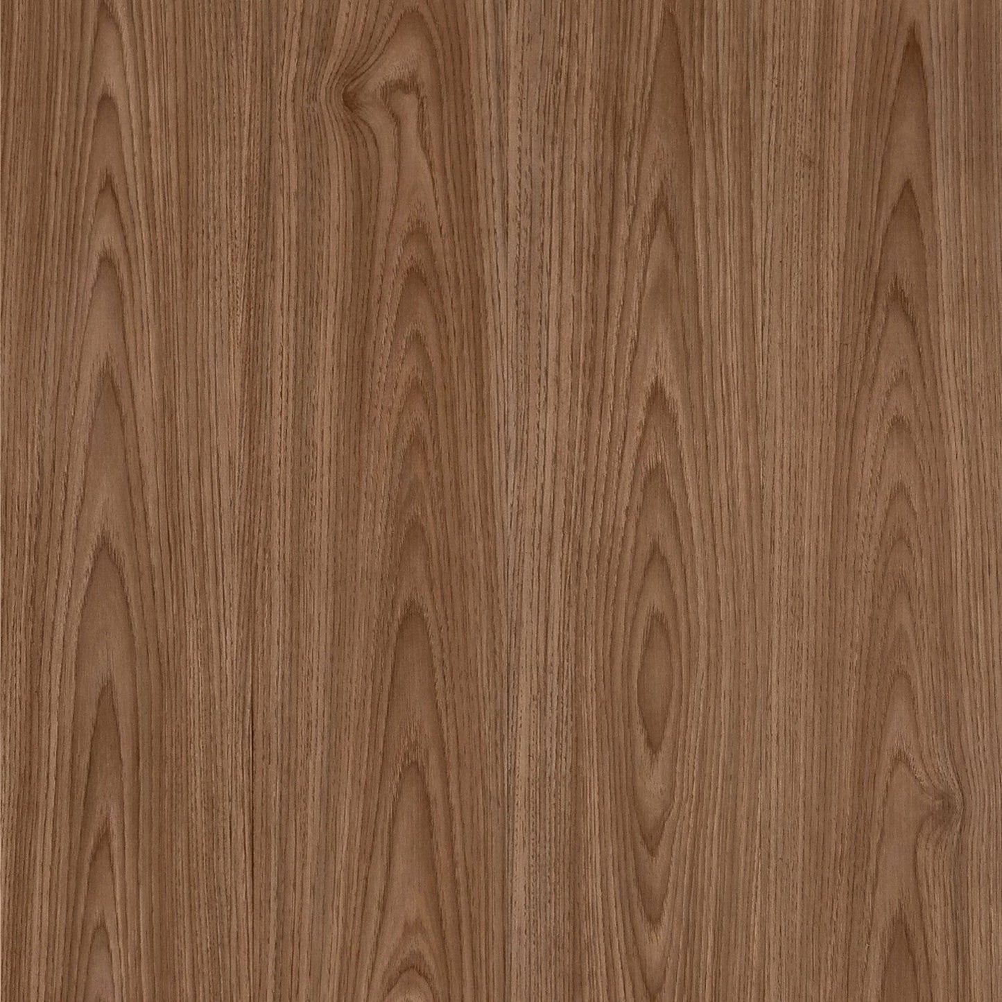 Lucida USA BaseCore Almond 6-in W x 36-in L x 2-mm Thick Waterproof Peel-and-Stick Luxury Vinyl Plank Flooring, 12-mil Wear Layer (54-sq ft/Box)