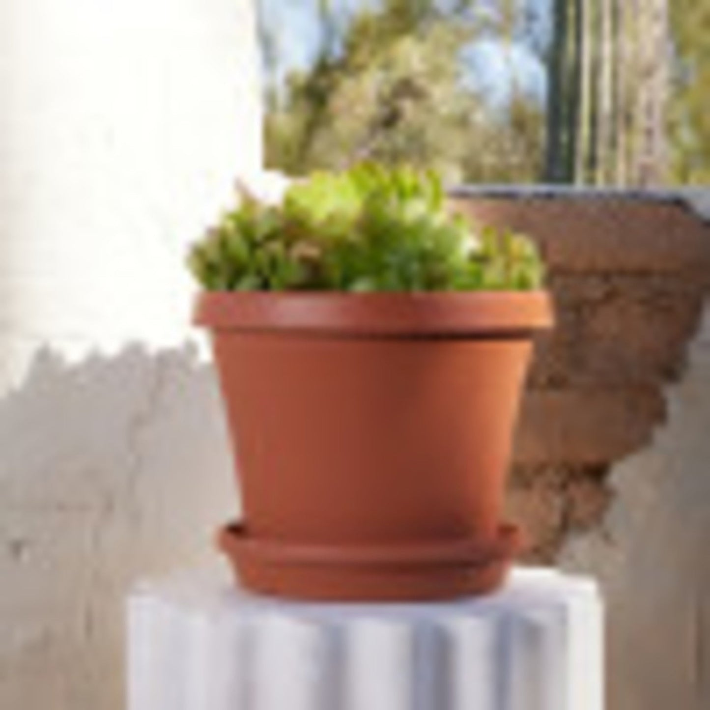 Bloem Terra Pot Planter 14" Terra Cotta