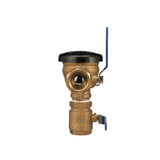 2 in. Pressure Vacuum Breaker Assembly - Super Arbor