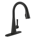 Lenta Single-Handle Pull-Down Sprayer Kitchen Faucet with ShieldSpray Technology SpotShield Stainless - Super Arbor