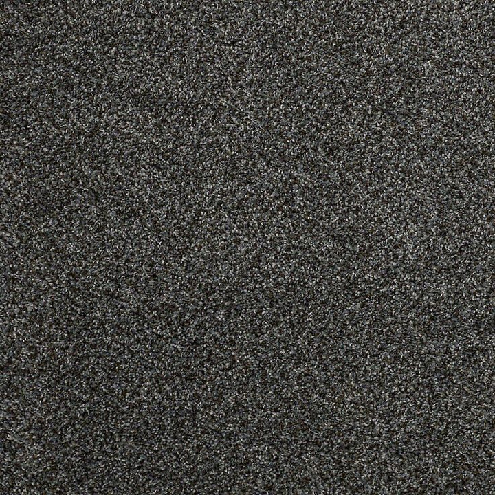 STAINMASTER PetProtect Mineral Bay I 12-ft Inlet Textured Carpet Sample (Interior)