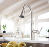 Nellis Single-Handle Pull-Down Sprayer Kitchen Faucet with Reflex and Power Clean in Spot Resist Stainless