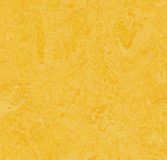 FORBO Marmoleum Click CinchLoc Lemon Zest 12