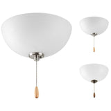 Bravo Collection 2-Light Unfinished Ceiling Fan Light Kit