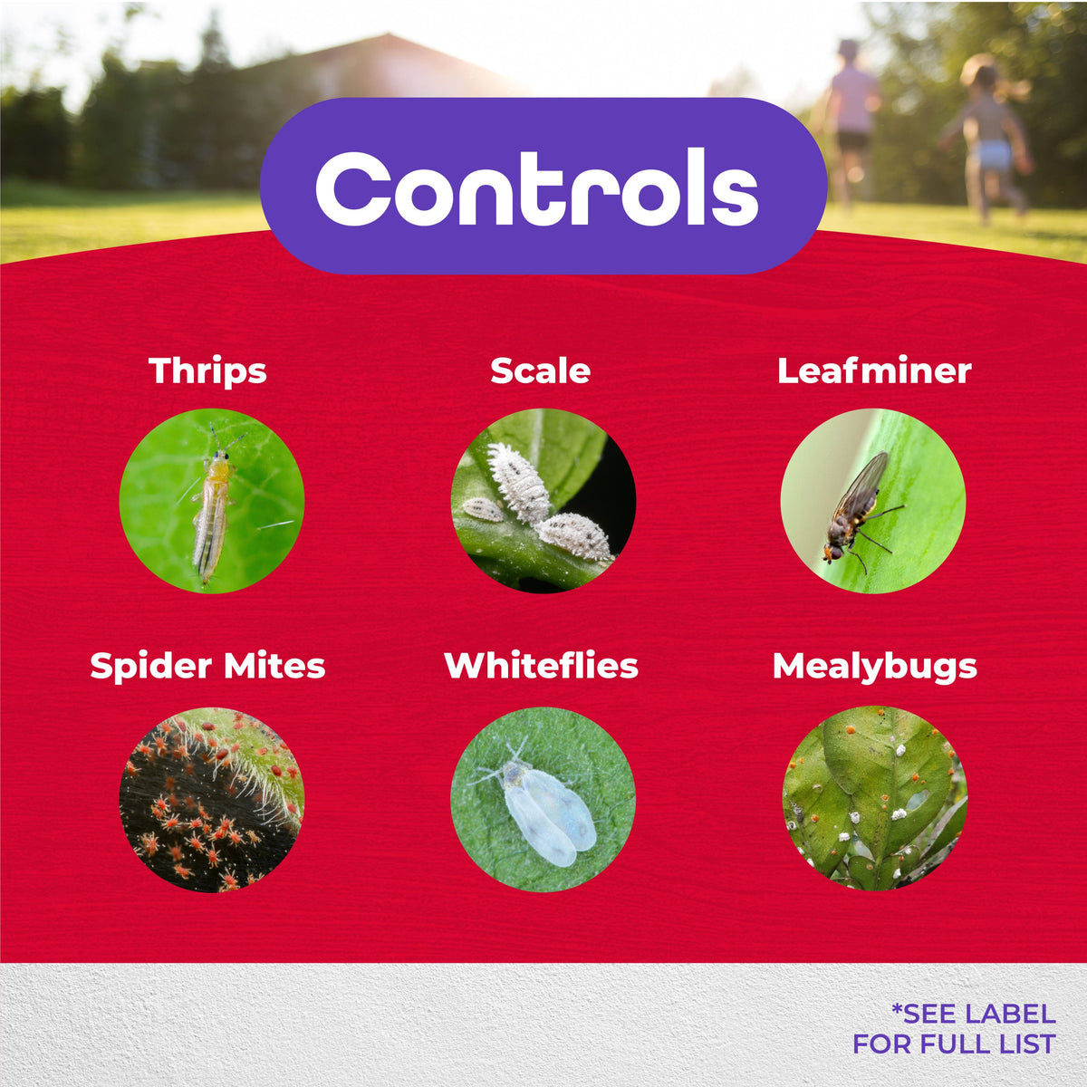 Bonide Systemic Insect Control Concentrate, 1 Pint (16 oz)