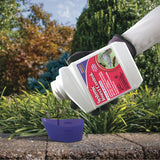 Bonide Systemic Insect Control Concentrate, 1 Pint (16 oz)