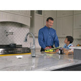 Delta Arctic Stainless 2-Handle Wall-Mount Pot Filler Handle Kitchen Faucet (Deck Plate Included)
