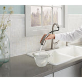 Elmbrook Single-Handle Pull-Down Sprayer Kitchen Faucet in Vibrant Stainless - Super Arbor
