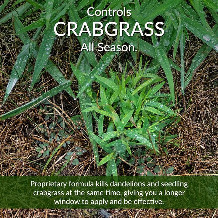 GreenView 36 lb. Fairway Formula Spring Fertilizer Weed and Feed and Crabgrass Preventer