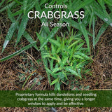 GreenView 36 lb. Fairway Formula Spring Fertilizer Weed and Feed and Crabgrass Preventer