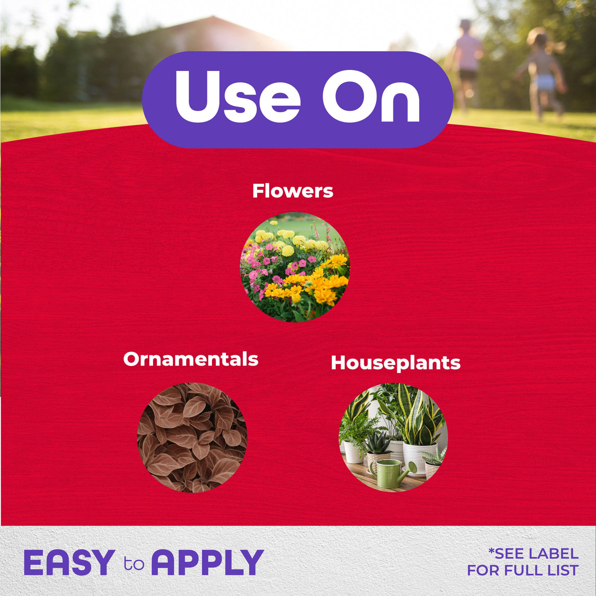 Bonide Systemic Houseplant Granules Insect Killer, 8 oz