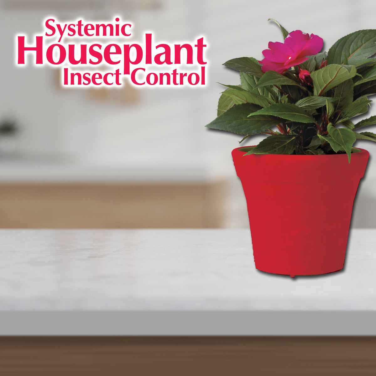 Bonide Systemic Houseplant Granules Insect Killer, 8 oz
