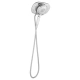 Spectra 4-spray 9.5 in. Dual Shower Head and Handheld Shower Head in Polished Chrome