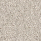 STAINMASTER Essentials Blue Diamonds II 12-ft Minimalist Textured Carpet (Indoor)