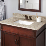 31 in. W x 19 in. D Granite Vanity Top in Golden Hill with White Trough Basin - Super Arbor